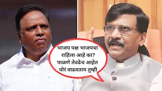 Sanjay Raut on Ashish Shelar: भाजपमध्ये 90 टक्के काँग्रेस, राष्ट्रवादीमधील नेते, स्वत:ची पोरं जन्माला घाला, तुमचं अस्तित्व आहे का? संजय राऊतांचा आशिष शेलारांवर 'शेलक्या' शब्दात प्रहार