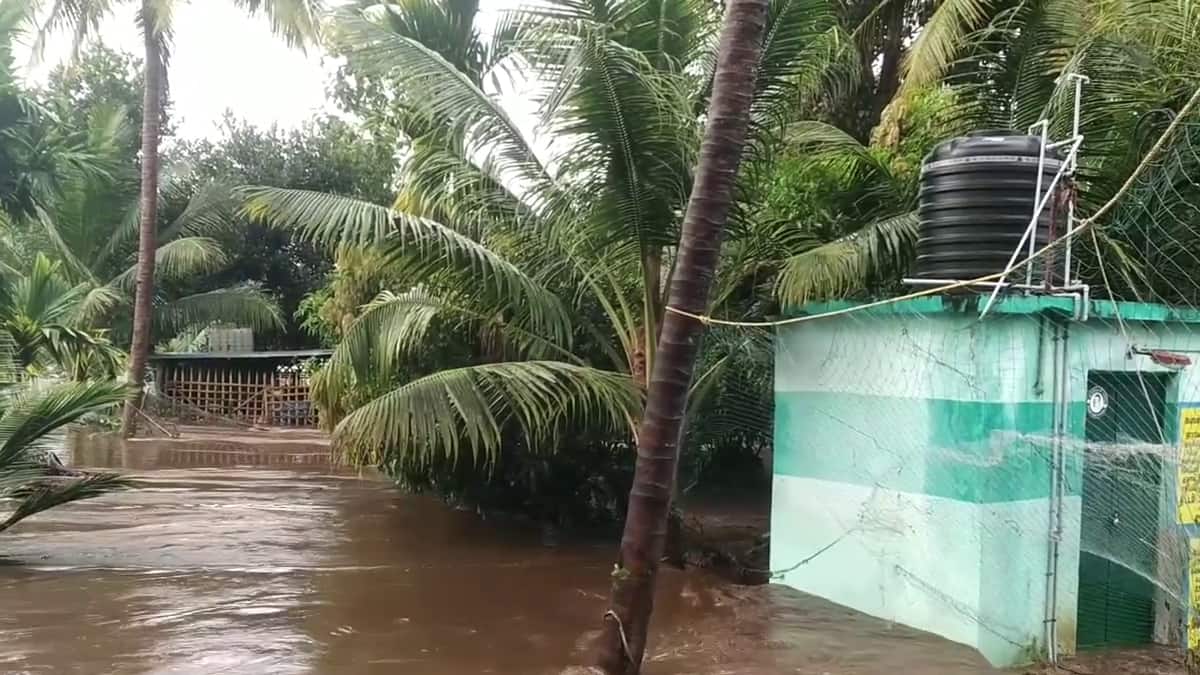 தேனி: கனமழையால் மக்கள் துயரம்! ஓ.பன்னீர்செல்வம் அவசர கோரிக்கை! நிவாரணம் கிடைக்குமா?