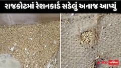 Rajkot Ration Scam: રાજકોટમાં રેશનકાર્ડ પર ગરીબ લોકોને સડેલું અનાજ આપ્યું, ભાજપના જ સાંસદ અને ધારાસભ્યએ ફરિયાદ કરતા તંત્રમાં દોડધામ
