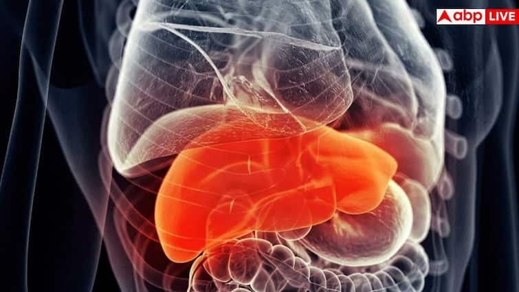 Early Signs of Liver disease: बिस्तर पर जाते ही दिखते हैं लिवर में सूजन के ये 5 लक्षण, 99% लोग इग्नोर करके मौत को लगा लेते हैं गले