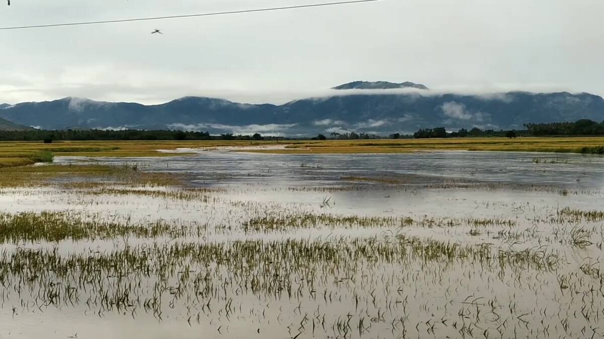 தேனி: கனமழையால் மக்கள் துயரம்! ஓ.பன்னீர்செல்வம் அவசர கோரிக்கை! நிவாரணம் கிடைக்குமா?