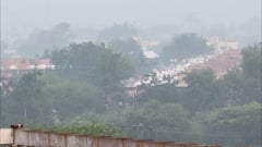 Weather Update : गोड गुलाबी थंडीची चाहूल; हिंगोली जिल्ह्यामध्ये पसरली धुक्याची दाट चादर