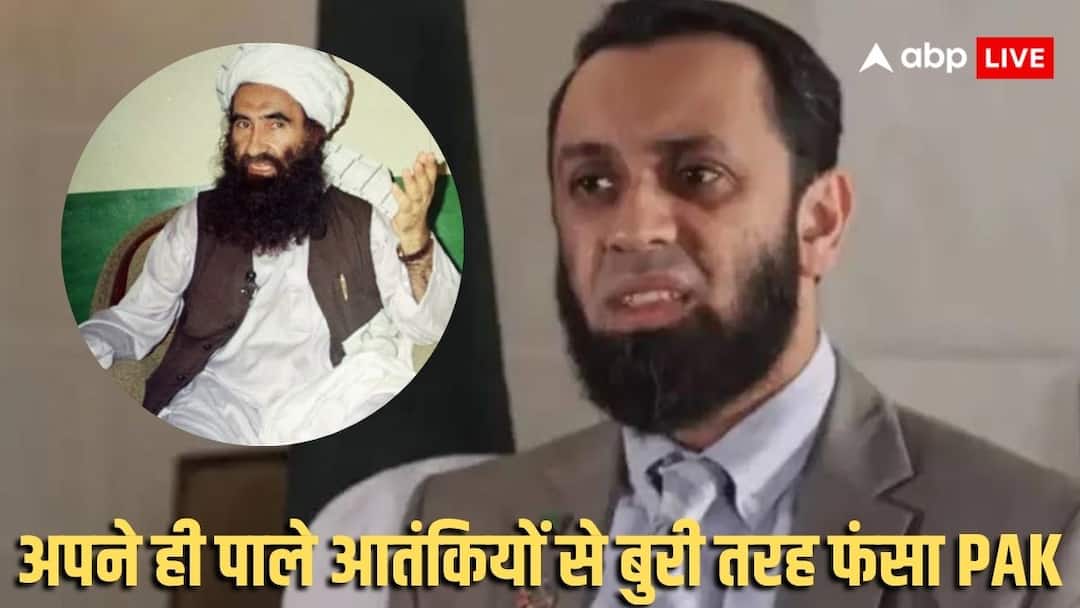 ICC के बयान से बौखलाया PAK, फेक न्यूज सेंटर चलाने वाले मंत्री ने दिया जवाब, अपने ही पाले आतंकियों के जाल में फंसा पाकिस्तान ICC on the death of 8 players in Afghanistan Pakistan in trouble target Afghanistan Cricket Board and Jay Shah ANN ICC के बयान से बौखलाया PAK, फेक न्यूज सेंटर चलाने वाले मंत्री ने दिया जवाब, अपने ही पाले आतंकियों के जाल में फंसा पाकिस्तान