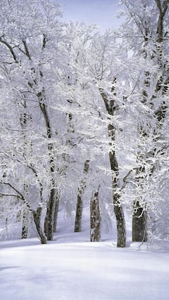 जगातील सर्वात थंड ठिकाण माहितीय का?