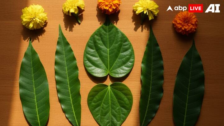 The Three-Leaf Toran Concept: Traditionally, torans are made from Ashoka leaves. This Diwali, elevate the ritual by combining three types of leaves, Ashoka, betel, and mango, in a single toran. This combination not only amplifies the beauty but also symbolises prosperity, health, and spiritual protection. (Image Source: ABPLIVE AI)