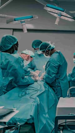 Nine Suspected Scrub Typhus Deaths In Andhra Pradesh, Over 1,500 Cases Detected Amid Surge