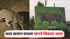 बिबट्या आला रे आला; वन विभागाने सुरू केली एआय तंत्रप्रणाली, ग्रामस्थांच्या सुरक्षेला प्राधान्य
