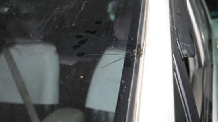 <div>BJP MP Raju Bista’s Convoy Attacked In North Bengal; Party Leaders Condemn 'Cowardly Conspiracy'</div>