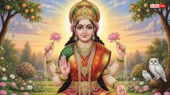Goddess Lakshmi: लक्ष्मी केवल धन की नहीं, बल्कि मेहनत और संतुलन की भी देवी