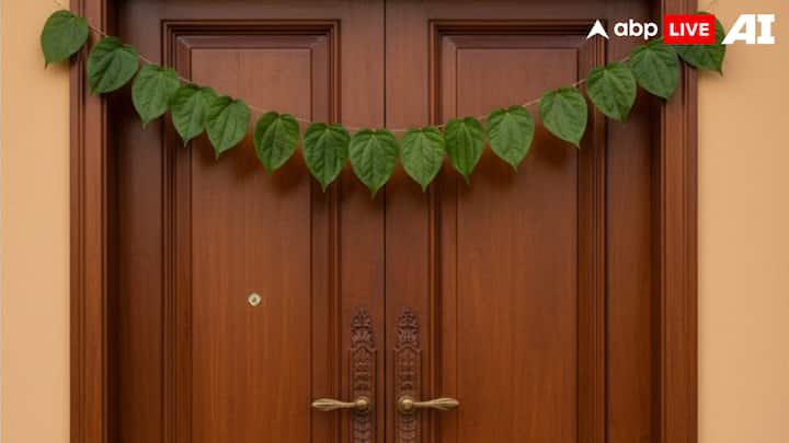 Betel Leaves For Auspiciousness: Betel leaves are considered sacred in Hindu rituals. Making a toran from fresh betel leaves and hanging it on the main door enhances the spiritual aura of your home. The leaves are also believed to bring harmony and divine blessings during Lakshmi Puja. (Image Source: ABPLIVE AI)