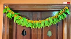 Diwali 2025 Toran: दिवाली पर 1-2 नहीं इन 3 पत्तों का लगाएं तोरण, मां लक्ष्मी जरूर आएंगी आपके द्वार