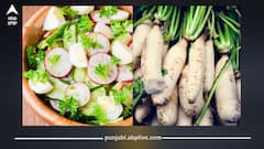 ਸਰਦੀਆਂ 'ਚ ਮੂਲੀ ਖਾਣਾ ਸਿਹਤ ਲਈ ਬਹੁਤ ਫਾਇਦੇਮੰਦ, ਕਬਜ਼ ਦੀ ਸਮੱਸਿਆ ਦੂਰ ਕਰਨ ਸਣੇ ਮਿਲਦੇ ਆ ਫਾਇਦੇ