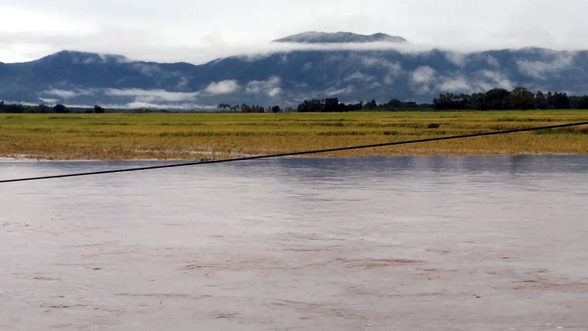 தேனி: முல்லைப் பெரியாறு வெள்ளம் பேரழிவு! விவசாயிகள், மக்கள் பாதிப்பு - 30 ஆண்டுகளில் இல்லாத சோகம்!