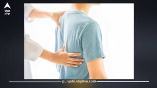 ਰੀੜ੍ਹ ਦੀ ਹੱਡੀ ਮਜ਼ਬੂਤ ਕਰਨ ਲਈ ਇਹ 5 ਚੀਜ਼ਾਂ ਖਾਓ, ਕਮਰ ਦਰਦ ਤੋਂ ਮਿਲੇਗੀ ਰਾਹਤ