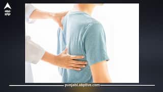 ਰੀੜ੍ਹ ਦੀ ਹੱਡੀ ਮਜ਼ਬੂਤ ਕਰਨ ਲਈ ਇਹ 5 ਚੀਜ਼ਾਂ ਖਾਓ, ਕਮਰ ਦਰਦ ਤੋਂ ਮਿਲੇਗੀ ਰਾਹਤ