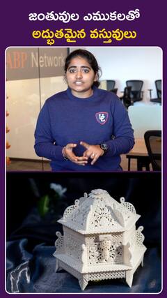 జంతువుల ఎముకలతో  అద్భుతమైన వస్తువులు