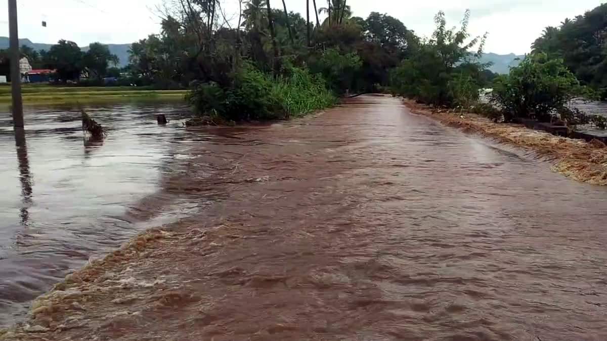 தேனி: முல்லைப் பெரியாறு வெள்ளம் பேரழிவு! விவசாயிகள், மக்கள் பாதிப்பு - 30 ஆண்டுகளில் இல்லாத சோகம்!