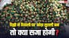 अगर दिल्ली में फोड़ दिया सुतली बम तो क्या गिरफ्तार कर लेगी पुलिस, जानें कौन सी धाराओं में हो सकती है कार्रवाई