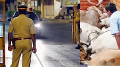 Mumbai Crime: दादरमध्ये 700 किलो गोमांस सापडलं, मुंबई पोलिसांनी ट्रक पकडला