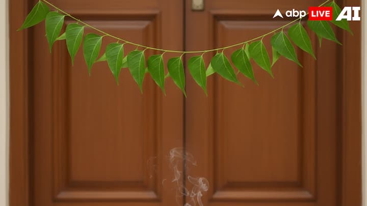 Ashoka Leaves For Protection: Ashoka leaves are traditionally used to protect homes from negative energy. Hanging an Ashoka leaf toran on your door acts as a shield against inauspicious forces, creating a sanctified and serene atmosphere that aligns with the spiritual spirit of Diwali. (Image Source: ABPLIVE AI)
