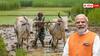क्या छठ से पहले जारी होगी पीएम किसान योजना की अगली किस्त? जान लें लेटेस्ट अपडेट