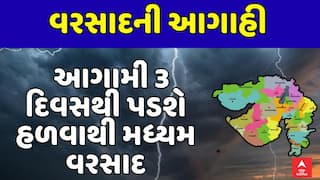 Gujarat Rain Forecast : ગુજરાતમાં આગામી 3 દિવસથી હળવાથી મધ્યમ વરસાદની આગાહી
