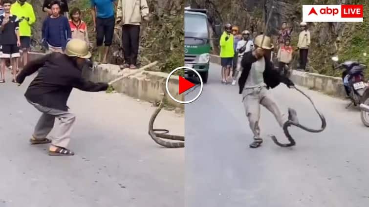 किंग कोबरा को लाठी मार रहे थे चाचा! अचानक दरिंदे ने किया पलटवार और उल्टा पड़ गया खेल- देखें वीड किंग कोबरा को लाठी मार रहे थे चाचा! अचानक दरिंदे ने किया पलटवार और उल्टा पड़ गया खेल- देखें वीड