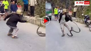 किंग कोबरा को लाठी मार रहे थे चाचा! अचानक दरिंदे ने किया पलटवार और उल्टा पड़ गया खेल- देखें वीडियो