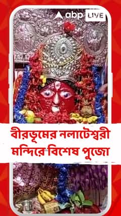 Kali Puja 2025: কালীপুজোতে বীরভূমের নলাটেশ্বরী মন্দিরের বিশেষ পুজো