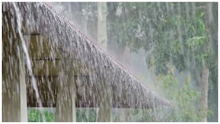 રાજ્યના ખેડૂતોના માથે કમોસમી વરસાદનું સંકટ! આગામી 29 ઓક્ટોબર સુધી હળવાથી મધ્યમ વરસાદની આગાહી