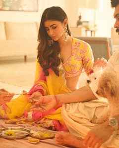 Bollywood Diwali: কারও বাড়িতে পুজো, কেউ মজলেন পার্টিতে! দীপাবলিতে কেমন সাজলেন, কী কী করলেন বলি নায়িকারা?