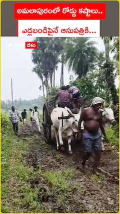 అమలాపురంలో రోడ్డు కష్టాలు..  ఎడ్లబండిపైనే ఆసుపత్రికి..