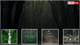 Diwali 2025: जहां भगवान राम ने किया था वनवास, वह जगह अब कहां? समझें वहां पहुंचने का तरीका