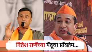 आधी संघावर टिका करायची मग, त्यांचीच चड्डी घालायची; मतदार याद्यांवरुन राणे-देशपांडे यांच्यात जुंपली