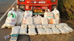 ग्वालियर में ट्रक से 280 किलो गांजा हुआ बरामद, पुलिस ने 3 तस्करों को किया गिरफ्तार