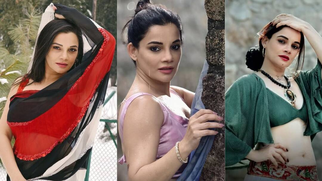 दीया और बाती हम की मीनाक्षी ने तीन साल पहले लिया नियो संन्यास, टूट चुकी है शादी