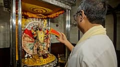 Kali Puja 2025 : কালীপুজোয় দক্ষিণেশ্বরে শক্তির আরাধনা, পুজো-অর্চনার পাশাপাশি ঢাকের তালে নাচলেন ভক্তরা