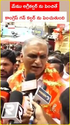 దీపావళి సందర్భంగా భాగ్యలక్ష్మి అమ్మవారిని దర్శించుకొన్న హరీష్ రావు