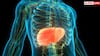 Risk of cancer in cirrhosis: कितना खतरनाक हो सकता है लिवर सोराइसिस, किस स्टेज में ये बन जाता है कैंसर?