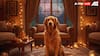 Diwali 2025: 6 Ways To Keep Your Dog Calm During Fireworks And Festivities