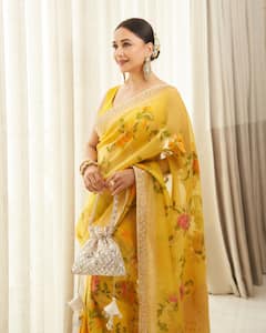 माधुरी दीक्षित की साड़ी में 10 तस्वीरें, भाई दूज पर दिखना है सबसे अलग तो इन लुक्स को करें कॉपी