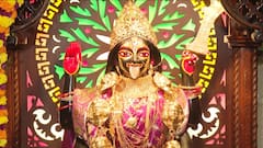 Kali Pujo: রাজ্যজুড়ে শক্তির আরাধনা, দিকে দিকে মঙ্গলারতি, সাড়ম্বরে চলছে বিশেষ যজ্ঞ