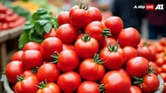 अफगानिस्तान से भिड़कर हो गया बुरा हाल, पाकिस्तान में टमाटर के दामों को लगे पंख, 700 रुपये किलो पहुंची कीमत