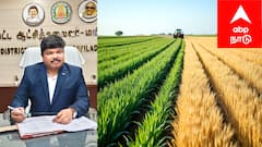 பயிர் காப்பீடு: நவம்பர் 15-க்குள் காப்பீடு செய்து இழப்பீட்டைப் பெறுங்கள்!  விவசாயிகளுக்கு ஆட்சியரின் அழைப்பு