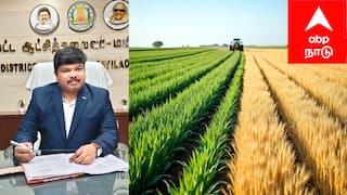 பயிர் காப்பீடு: நவம்பர் 15-க்குள் காப்பீடு செய்து இழப்பீட்டைப் பெறுங்கள்!  விவசாயிகளுக்கு ஆட்சியரின் அழைப்பு