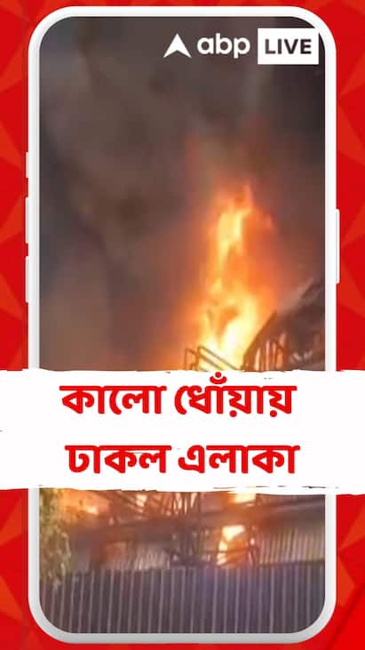 Barrackpore News: সাতসকালে ব্যারাকপুরের কারখানায় বিধ্বংসী অগ্নিকাণ্ড! কালো ধোঁয়ায় ঢাকল এলাকা Barrackpore News: সাতসকালে ব্যারাকপুরের কারখানায় বিধ্বংসী অগ্নিকাণ্ড! কালো ধোঁয়ায় ঢাকল এলাকা