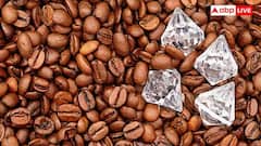 Diamond Purity : সোনা-রুপোর সম্পর্কে তো জানেন, হীরের বিশুদ্ধতা কীভাবে যাচাই হয় জানেন ? আসল চেনার উপায় কী ?