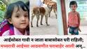 Jalna Dog Attack: आईसोबत गावी न जाता बाबासोबत घरी राहिली; मध्यरात्री आईच्या आठवणीत घराबाहेर आली अन् मोकाट कुत्र्यांनी चिमुकल्या परीच्या अंगाचे लचके तोडले