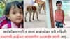 Jalna Dog Attack: आईसोबत गावी न जाता बाबासोबत घरी राहिली; मध्यरात्री आईच्या आठवणीत घराबाहेर आली अन् मोकाट कुत्र्यांनी चिमुकल्या परीच्या अंगाचे लचके तोडले