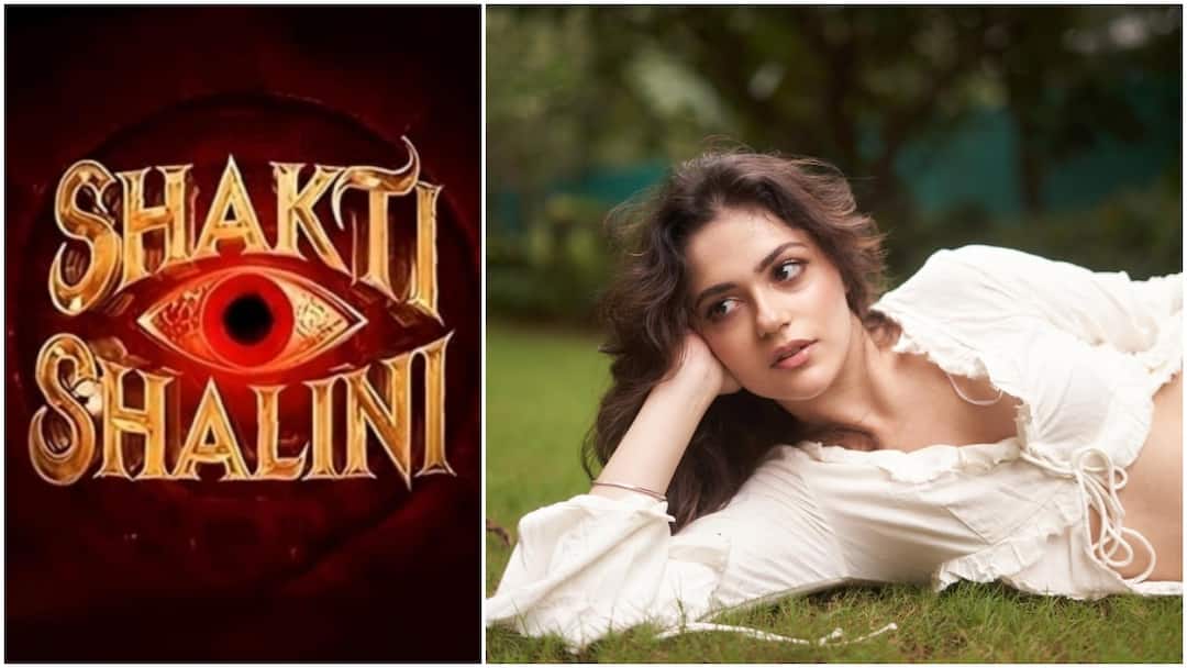 ‘थामा’ के बाद इस तारीख को आ रही ‘शक्ति शालिनी’, अनीत पड्डा निभाएंगी लीड रोल